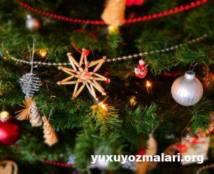 Yuxuda yeni il görmək