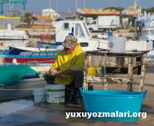 Yuxuda balıq təmizləmək