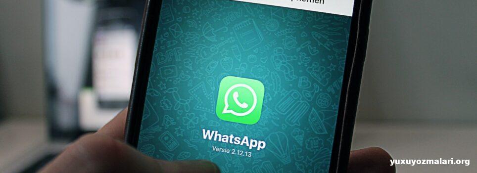 WhatsApp Plus: Yüklə, Xüsusiyyətləri, Riskləri