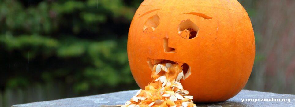 Yuxuda qusmaq Yuxuda qusmaq