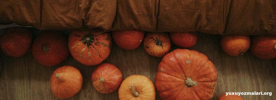 Balqabağın faydaları haqqında Balqabağın faydaları haqqında