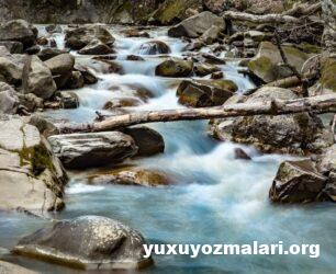 Yuxuda axar su görmək