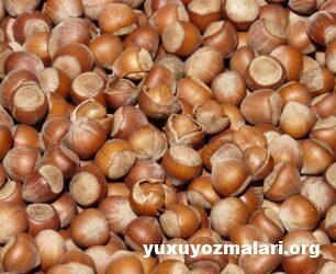 Yuxuda fındıq görmək