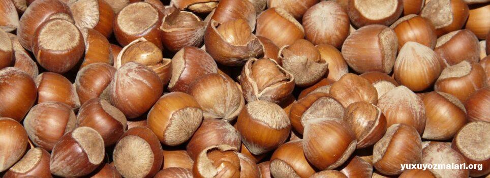 Yuxuda fındıq görmək Yuxuda fındıq görmək
