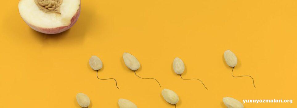 Hormonal pozğunluq nədir? Hormonal pozğunluq nədir?