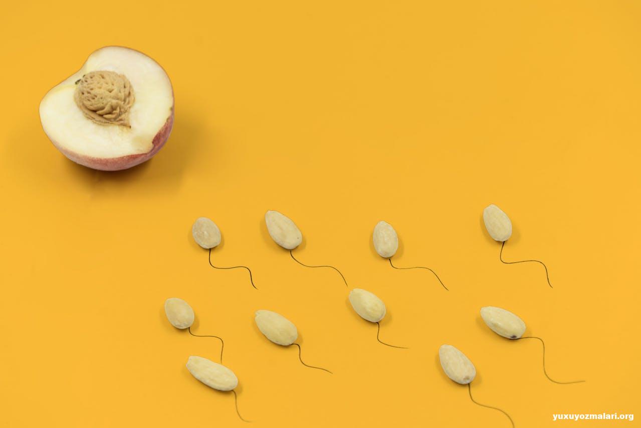 Hormonal pozğunluq nədir?