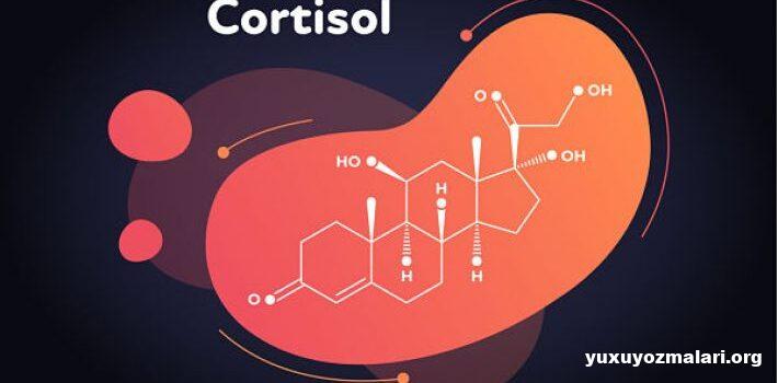 Kortizol nədir? Kortizol Hormonu nədir?