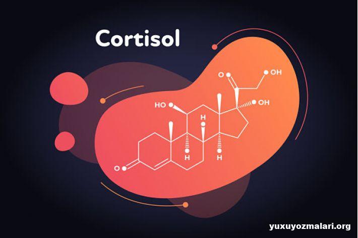 Kortizol nədir? Kortizol Hormonu nədir?