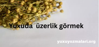 Yuxuda üzerlik görmek