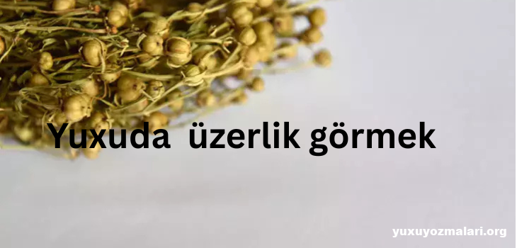 Yuxuda üzerlik görmek Yuxuda üzerlik görmek
