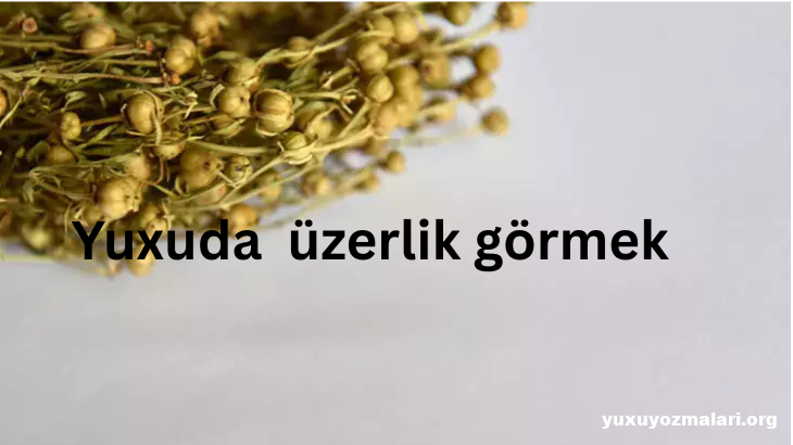 Yuxuda üzerlik görmek