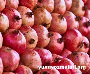 Hamile qadinin yuxuda nar gormesi