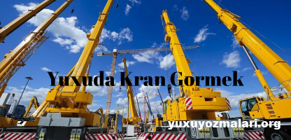 Yuxuda kran gormek