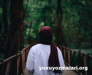 Yuxuda hicab baglamaq