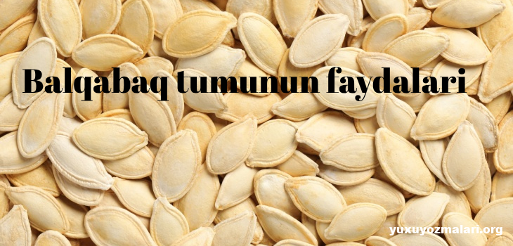 Balqabaq tumunun faydalari Balqabaq tumunun faydalari