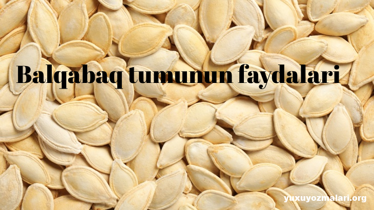 Balqabaq tumunun faydalari