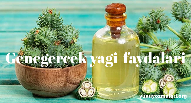 Genegercek yagi faydalari Genegercek yagi faydalari