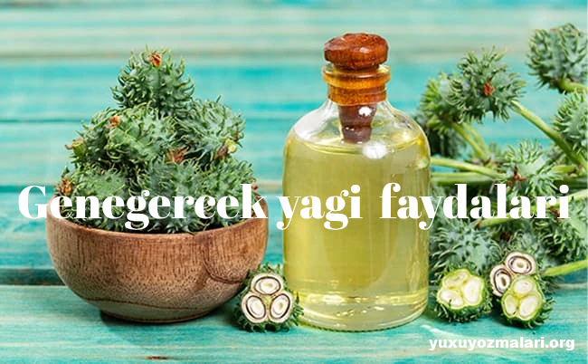 Genegercek yagi faydalari