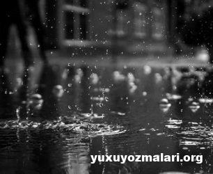 Yuxuda yagis yagdigini gormek