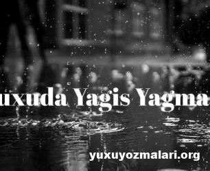 Yuxuda yagis yagmasi