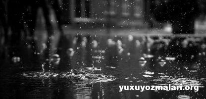Yuxuda yagis yagdigini gormek