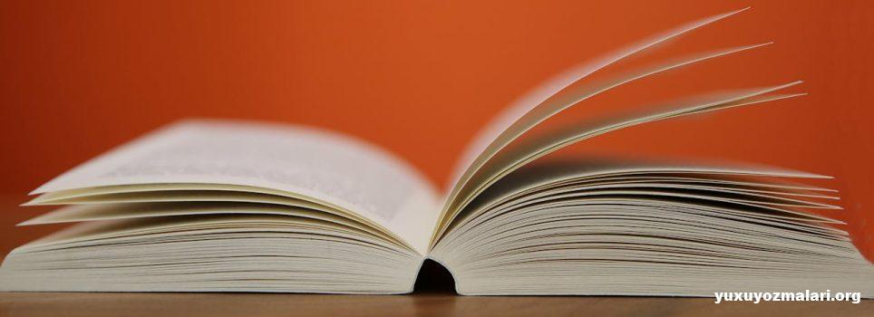 Avesta kitabı haqqında Avesta kitabı haqqında