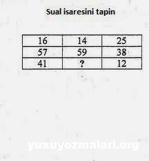 Məntiqi suallar