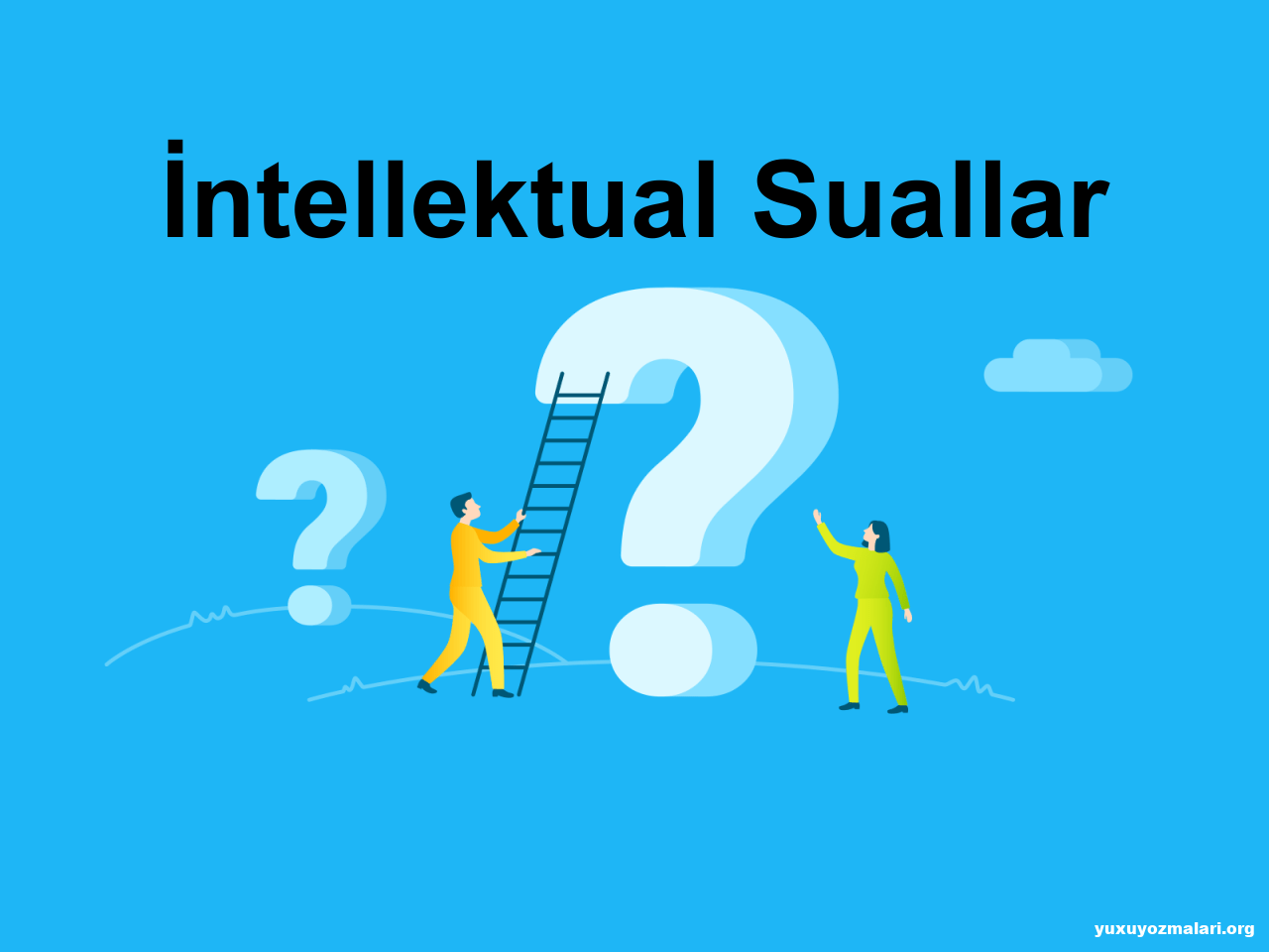 İntellektual suallar