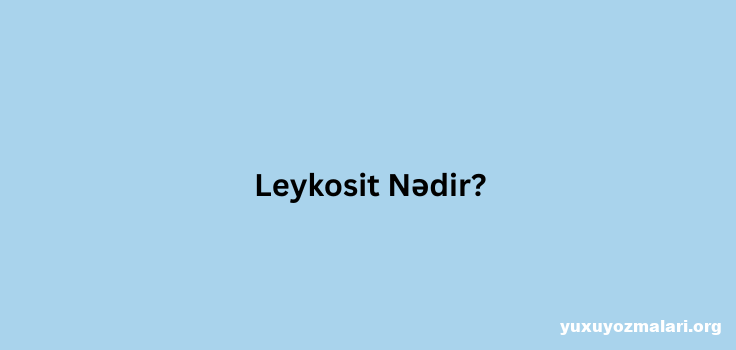 Leykosit nedir? Leykosit nedir?