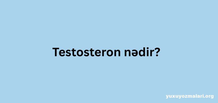 Testosteron nədir?