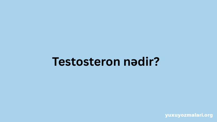 Testosteron nədir?